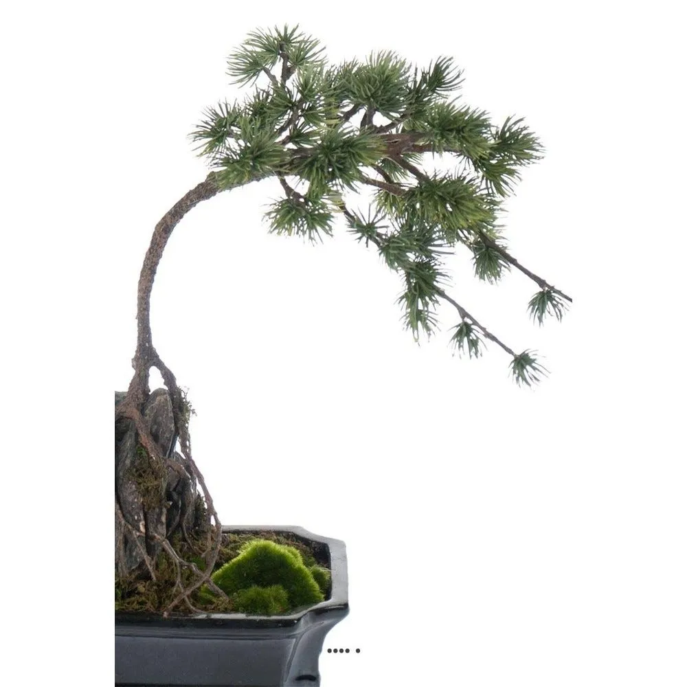 Bonsaï pinus artificiel sur pierre pot finition mousse h40cm