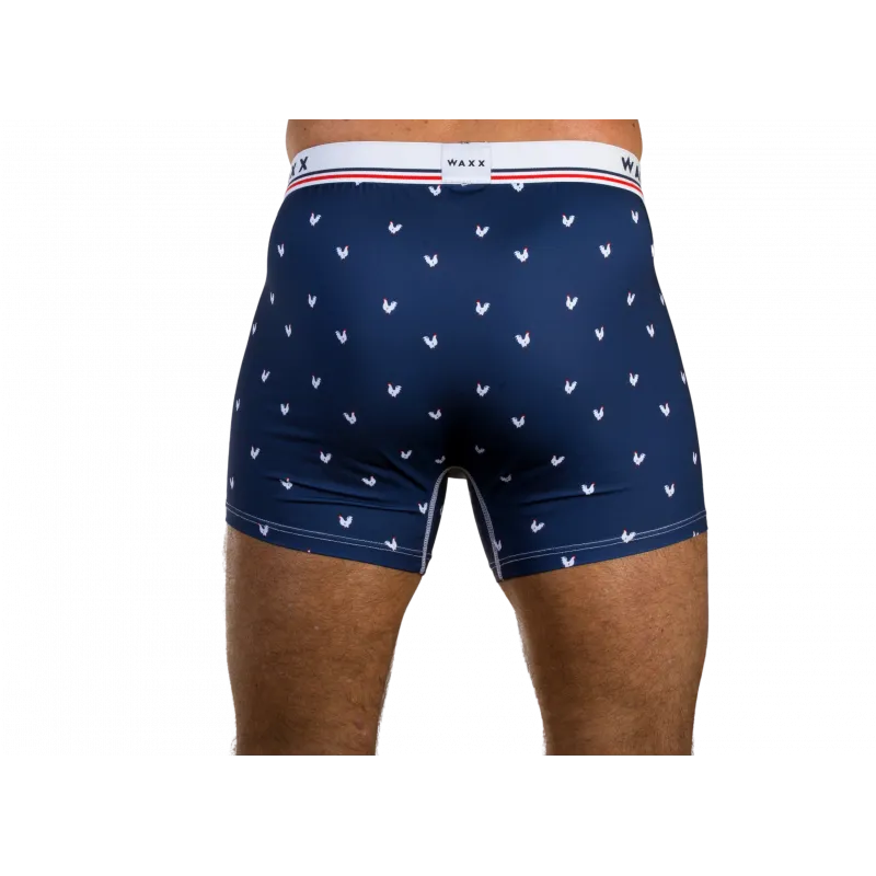 Boxer COCORICO