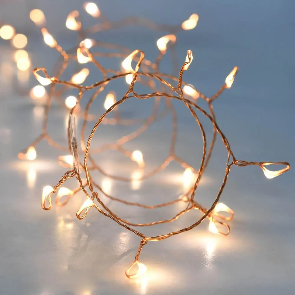 Guirlande micro led boa blanc chaud - 2,50 m
